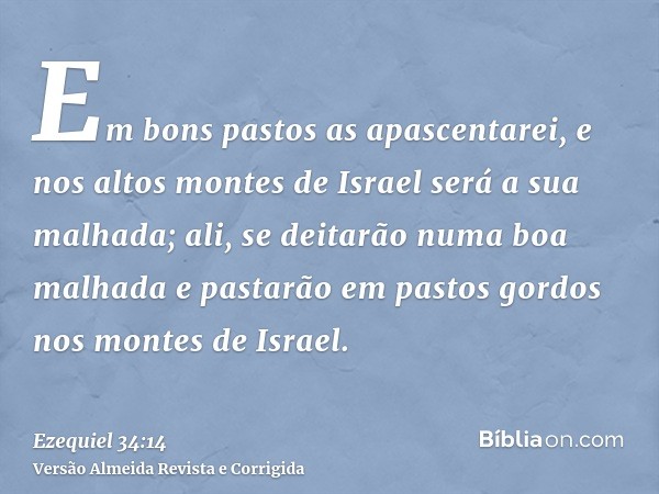 Em bons pastos as apascentarei, e nos altos montes de Israel será a sua malhada; ali, se deitarão numa boa malhada e pastarão em pastos gordos nos montes de Isr