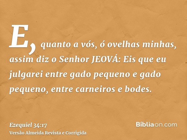 E, quanto a vós, ó ovelhas minhas, assim diz o Senhor JEOVÁ: Eis que eu julgarei entre gado pequeno e gado pequeno, entre carneiros e bodes.