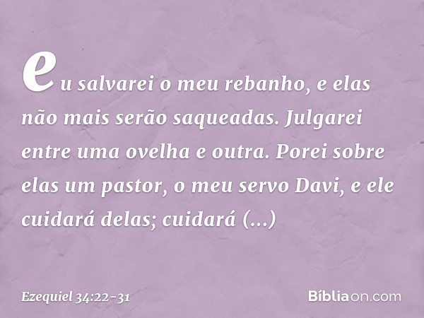 eu salvarei o meu rebanho, e elas não mais serão saqueadas. Julgarei entre uma ovelha e outra. Porei sobre elas um pastor, o meu servo Davi, e ele cuidará delas