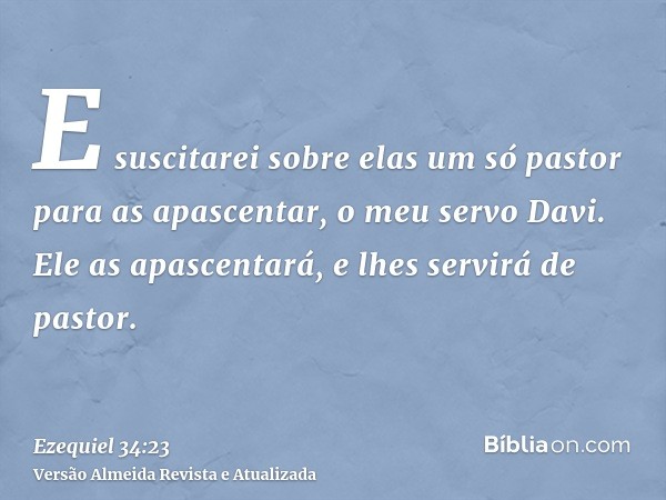 E suscitarei sobre elas um só pastor para as apascentar, o meu servo Davi. Ele as apascentará, e lhes servirá de pastor.