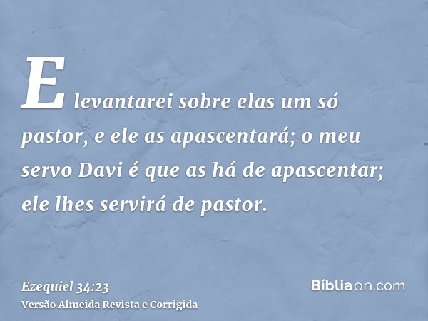 E levantarei sobre elas um só pastor, e ele as apascentará; o meu servo Davi é que as há de apascentar; ele lhes servirá de pastor.