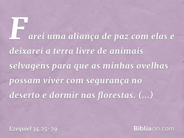 "Farei uma aliança de paz com elas e deixarei a terra livre de animais selvagens para que as minhas ovelhas possam viver com segurança no deserto e dormir nas f