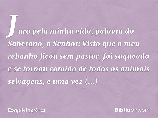 Juro pela minha vida, palavra do Soberano, o Senhor: Visto que o meu rebanho ficou sem pastor, foi saqueado e se tornou comida de todos os animais selvagens, e 