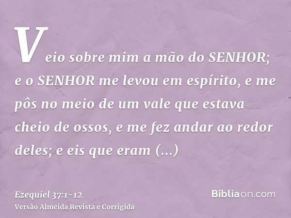 Veio sobre mim a mão do SENHOR; e o SENHOR me levou em espírito, e me pôs no meio de um vale que estava cheio de ossos,e me fez andar ao redor deles; e eis que 