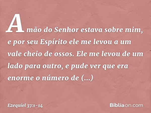 A mão do Senhor estava sobre mim, e por seu Espírito ele me levou a um vale cheio de ossos. Ele me levou de um lado para outro, e pude ver que era enorme o núme