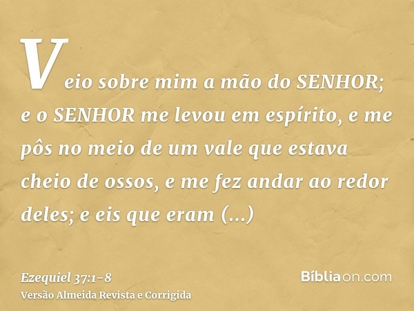 Veio sobre mim a mão do SENHOR; e o SENHOR me levou em espírito, e me pôs no meio de um vale que estava cheio de ossos,e me fez andar ao redor deles; e eis que