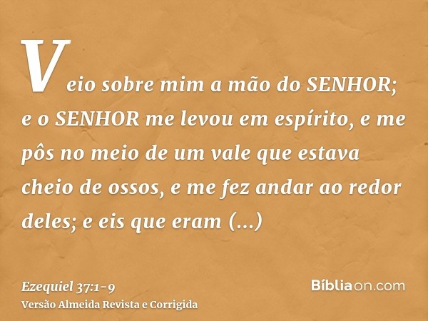 Veio sobre mim a mão do SENHOR; e o SENHOR me levou em espírito, e me pôs no meio de um vale que estava cheio de ossos,e me fez andar ao redor deles; e eis que 