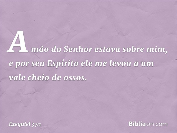 A mão do Senhor estava sobre mim, e por seu Espírito ele me levou a um vale cheio de ossos. -- Ezequiel 37:1