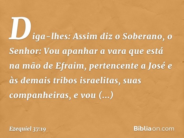 Diga-lhes: Assim diz o Soberano, o Senhor: Vou apanhar a vara que está na mão de Efraim, pertencente a José e às demais tribos israelitas, suas companheiras, e 