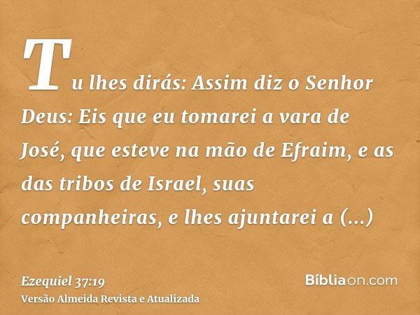 Tu lhes dirás: Assim diz o Senhor Deus: Eis que eu tomarei a vara de José, que esteve na mão de Efraim, e as das tribos de Israel, suas companheiras, e lhes aju