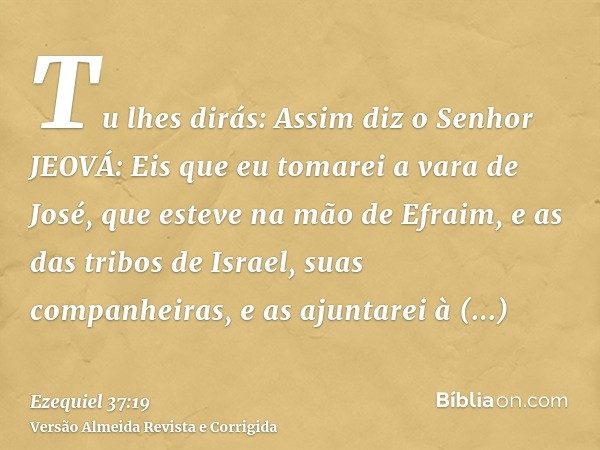 Tu lhes dirás: Assim diz o Senhor JEOVÁ: Eis que eu tomarei a vara de José, que esteve na mão de Efraim, e as das tribos de Israel, suas companheiras, e as ajun