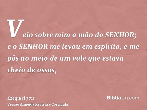 Veio sobre mim a mão do SENHOR; e o SENHOR me levou em espírito, e me pôs no meio de um vale que estava cheio de ossos,