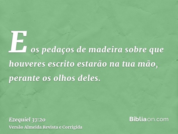E os pedaços de madeira sobre que houveres escrito estarão na tua mão, perante os olhos deles.