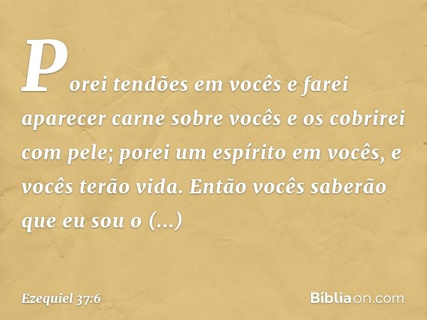 Porei tendões em vocês e farei aparecer carne sobre vocês e os cobrirei com pele; porei um espírito em vocês, e vocês terão vida. Então vocês saberão que eu sou