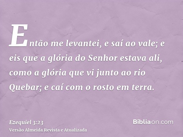 Então me levantei, e saí ao vale; e eis que a glória do Senhor estava ali, como a glória que vi junto ao rio Quebar; e caí com o rosto em terra.