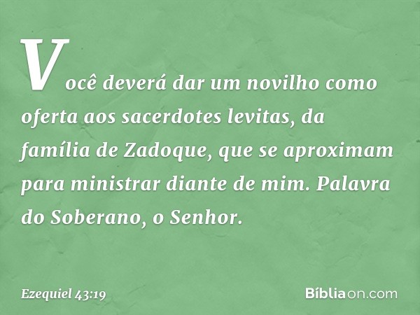 Você deverá dar um novilho como ofer­ta aos sacerdotes levitas, da família de Zadoque, que se aproximam para ministrar diante de mim. Palavra do Soberano, o Sen