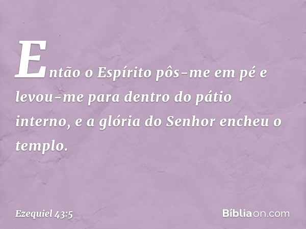 Então o Espírito pôs-me em pé e levou-me para dentro do pátio interno, e a glória do Senhor encheu o templo. -- Ezequiel 43:5