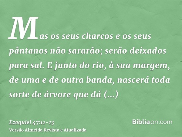 Mas os seus charcos e os seus pântanos não sararão; serão deixados para sal.E junto do rio, à sua margem, de uma e de outra banda, nascerá toda sorte de árvore 