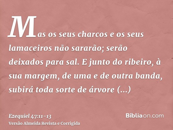 Mas os seus charcos e os seus lamaceiros não sararão; serão deixados para sal.E junto do ribeiro, à sua margem, de uma e de outra banda, subirá toda sorte de ár