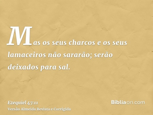 Mas os seus charcos e os seus lamaceiros não sararão; serão deixados para sal.