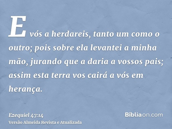 E vós a herdareis, tanto um como o outro; pois sobre ela levantei a minha mão, jurando que a daria a vossos pais; assim esta terra vos cairá a vós em herança.