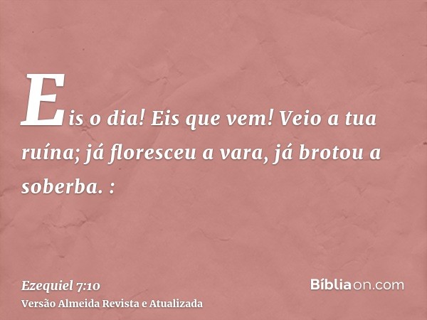 Eis o dia! Eis que vem! Veio a tua ruína; já floresceu a vara, já brotou a soberba. :