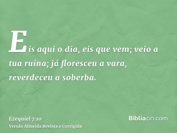 Eis aqui o dia, eis que vem; veio a tua ruína; já floresceu a vara, reverdeceu a soberba.