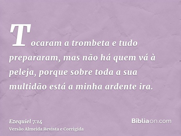 Tocaram a trombeta e tudo prepararam, mas não há quem vá à peleja, porque sobre toda a sua multidão está a minha ardente ira.