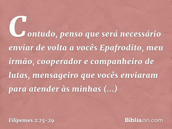 Contudo, penso que será necessário enviar de volta a vocês Epafrodito, meu irmão, cooperador e companheiro de lutas, mensageiro que vocês enviaram para atender 