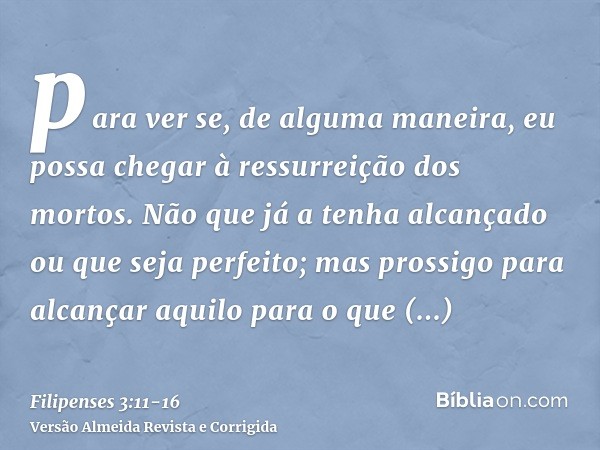 para ver se, de alguma maneira, eu possa chegar à ressurreição dos mortos.Não que já a tenha alcançado ou que seja perfeito; mas prossigo para alcançar aquilo p