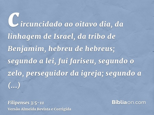 circuncidado ao oitavo dia, da linhagem de Israel, da tribo de Benjamim, hebreu de hebreus; segundo a lei, fui fariseu,segundo o zelo, perseguidor da igreja; se