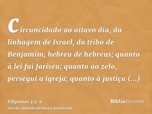 circuncidado ao oitavo dia, da linhagem de Israel, da tribo de Benjamim, hebreu de hebreus; quanto à lei fui fariseu;quanto ao zelo, persegui a igreja; quanto à