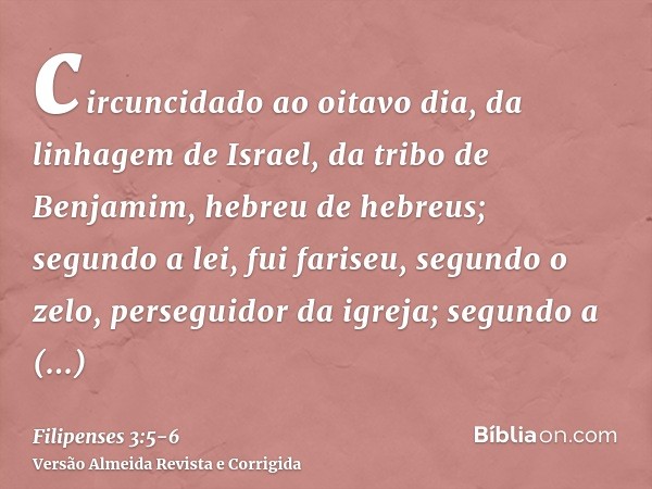 circuncidado ao oitavo dia, da linhagem de Israel, da tribo de Benjamim, hebreu de hebreus; segundo a lei, fui fariseu,segundo o zelo, perseguidor da igreja; se