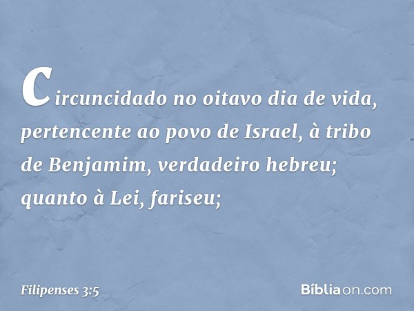 circuncidado no oitavo dia de vida, pertencente ao povo de Israel, à tribo de Benjamim, verdadeiro hebreu; quanto à Lei, fariseu; -- Filipenses 3:5