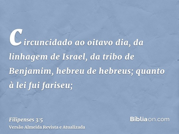 circuncidado ao oitavo dia, da linhagem de Israel, da tribo de Benjamim, hebreu de hebreus; quanto à lei fui fariseu;