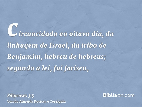circuncidado ao oitavo dia, da linhagem de Israel, da tribo de Benjamim, hebreu de hebreus; segundo a lei, fui fariseu,