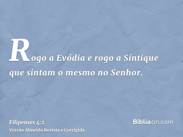 Rogo a Evódia e rogo a Síntique que sintam o mesmo no Senhor.