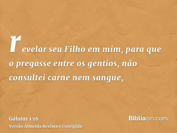 revelar seu Filho em mim, para que o pregasse entre os gentios, não consultei carne nem sangue,