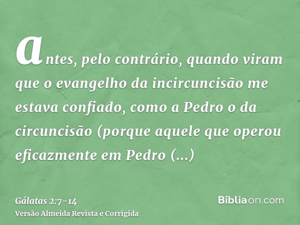 antes, pelo contrário, quando viram que o evangelho da incircuncisão me estava confiado, como a Pedro o da circuncisão(porque aquele que operou eficazmente em P