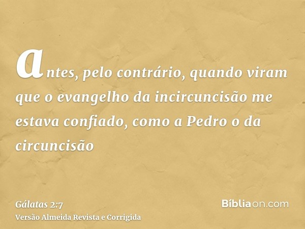 antes, pelo contrário, quando viram que o evangelho da incircuncisão me estava confiado, como a Pedro o da circuncisão