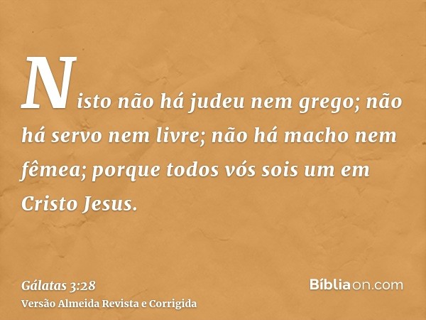 Nisto não há judeu nem grego; não há servo nem livre; não há macho nem fêmea; porque todos vós sois um em Cristo Jesus.