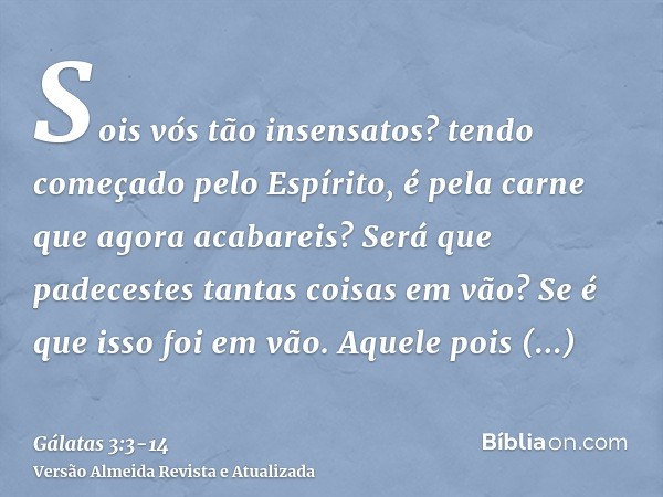 Sois vós tão insensatos? tendo começado pelo Espírito, é pela carne que agora acabareis?Será que padecestes tantas coisas em vão? Se é que isso foi em vão.Aquel