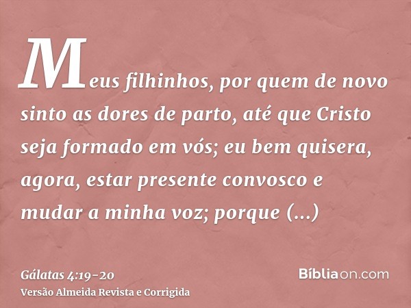 Meus filhinhos, por quem de novo sinto as dores de parto, até que Cristo seja formado em vós;eu bem quisera, agora, estar presente convosco e mudar a minha voz;