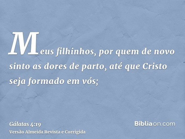 Meus filhinhos, por quem de novo sinto as dores de parto, até que Cristo seja formado em vós;