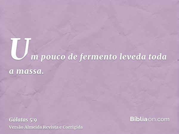 Um pouco de fermento leveda toda a massa.