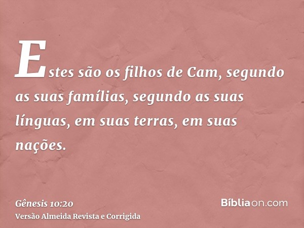Estes são os filhos de Cam, segundo as suas famílias, segundo as suas línguas, em suas terras, em suas nações.