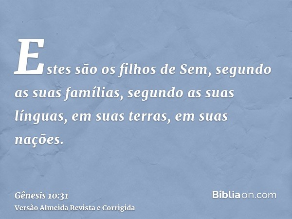 Estes são os filhos de Sem, segundo as suas famílias, segundo as suas línguas, em suas terras, em suas nações.