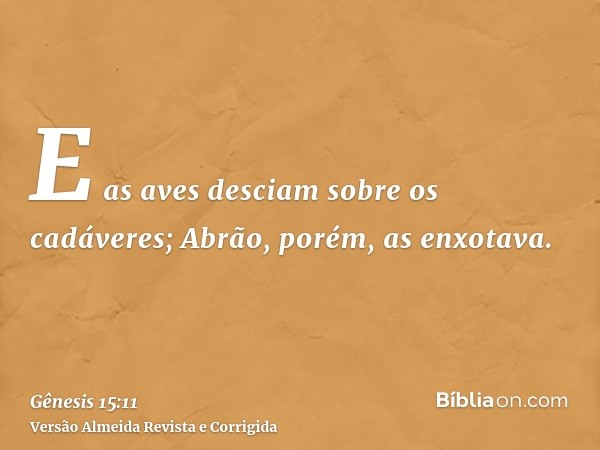 E as aves desciam sobre os cadáveres; Abrão, porém, as enxotava.