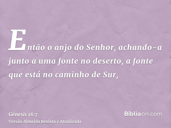 Então o anjo do Senhor, achando-a junto a uma fonte no deserto, a fonte que está no caminho de Sur,