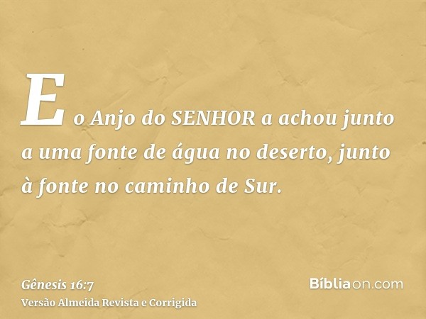 E o Anjo do SENHOR a achou junto a uma fonte de água no deserto, junto à fonte no caminho de Sur.